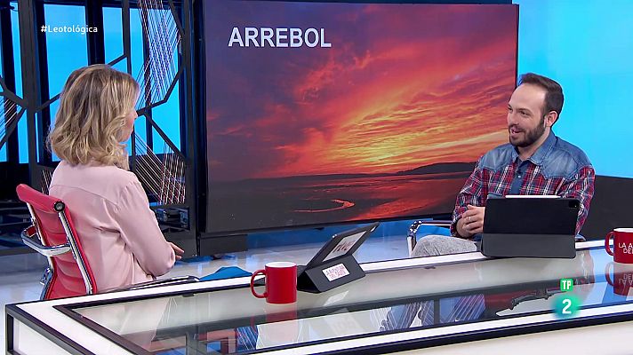 La aventura del Saber - Álex Herrero. Palabras muy curiosas y desconocidas