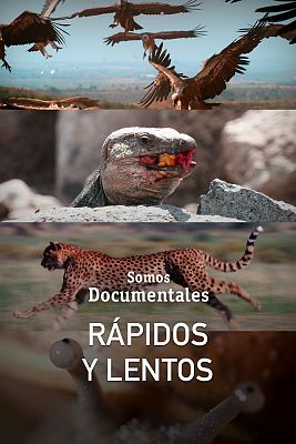 Somos Documentales - Rápidos y lentos