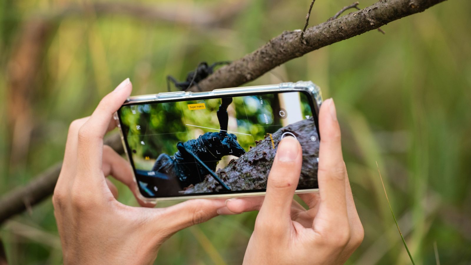 Las imágenes de redes sociales, una mina para los científicos | Ver