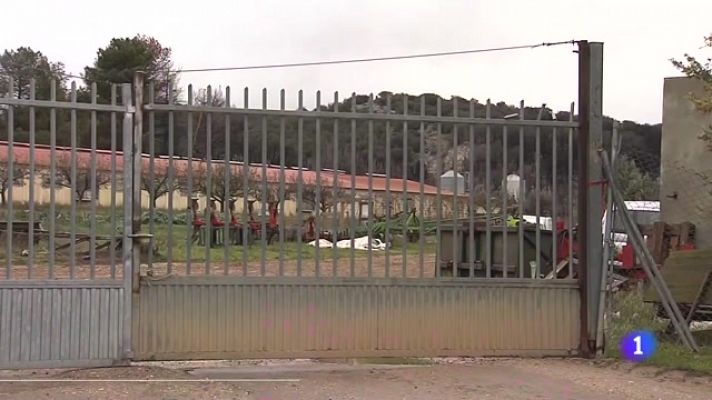 Noticias de Castilla y León - Castilla y León en 1' - 01/12/23