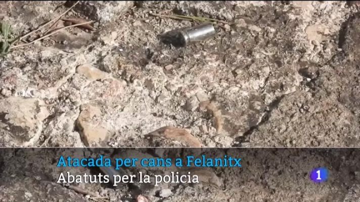 Informatiu Balear - Informatiu Balear 2 - 01/12/23