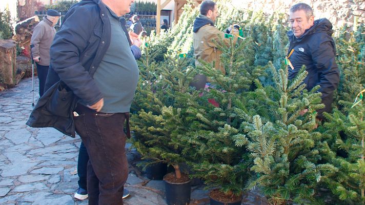 L'Informatiu - Comença la 42a edició de la Fira de l'Avet d'Espinelves