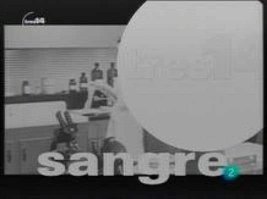 tres14 - Últimas noticias