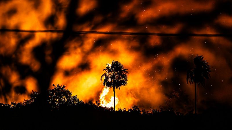 La Inteligencia Artificial, herramienta clave para combatir los incendios y el cambio climático