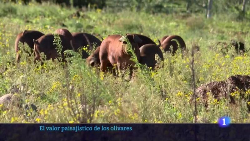 Informativo Telerioja 2 - 07-12-2023 - Ver ahora