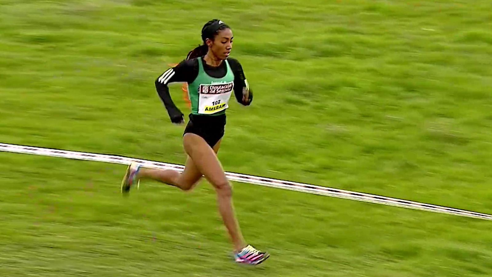 Cross - Cross Nacional Ayuntamiento de Cantimpalos - ver ahora