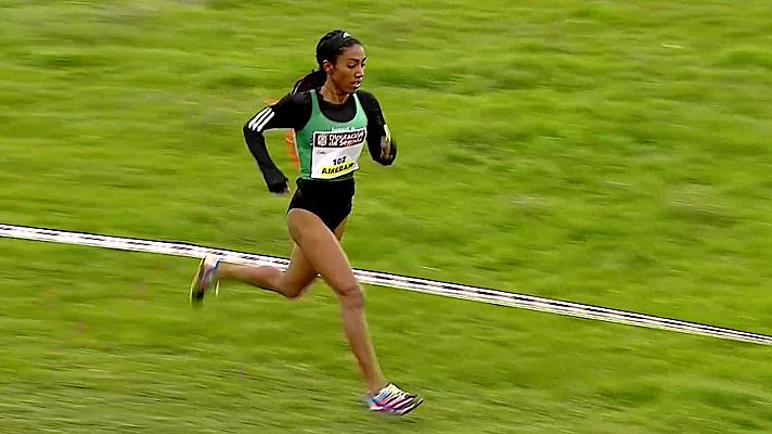 Cross - Cross Nacional Ayuntamiento de Cantimpalos