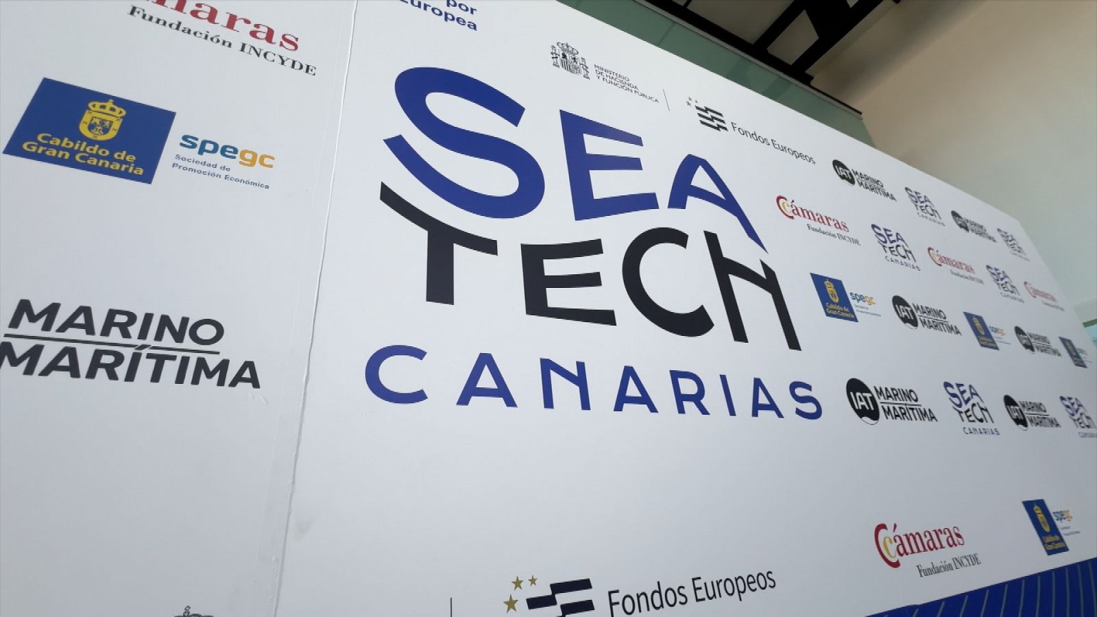 Zoom Net - SeaTech Canarias, Auriculares de botón y Avatar