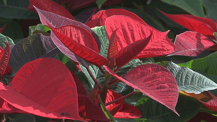 Agrosfera - Agrosfera - 09/12/23