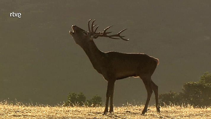 Secretos de Extremadura