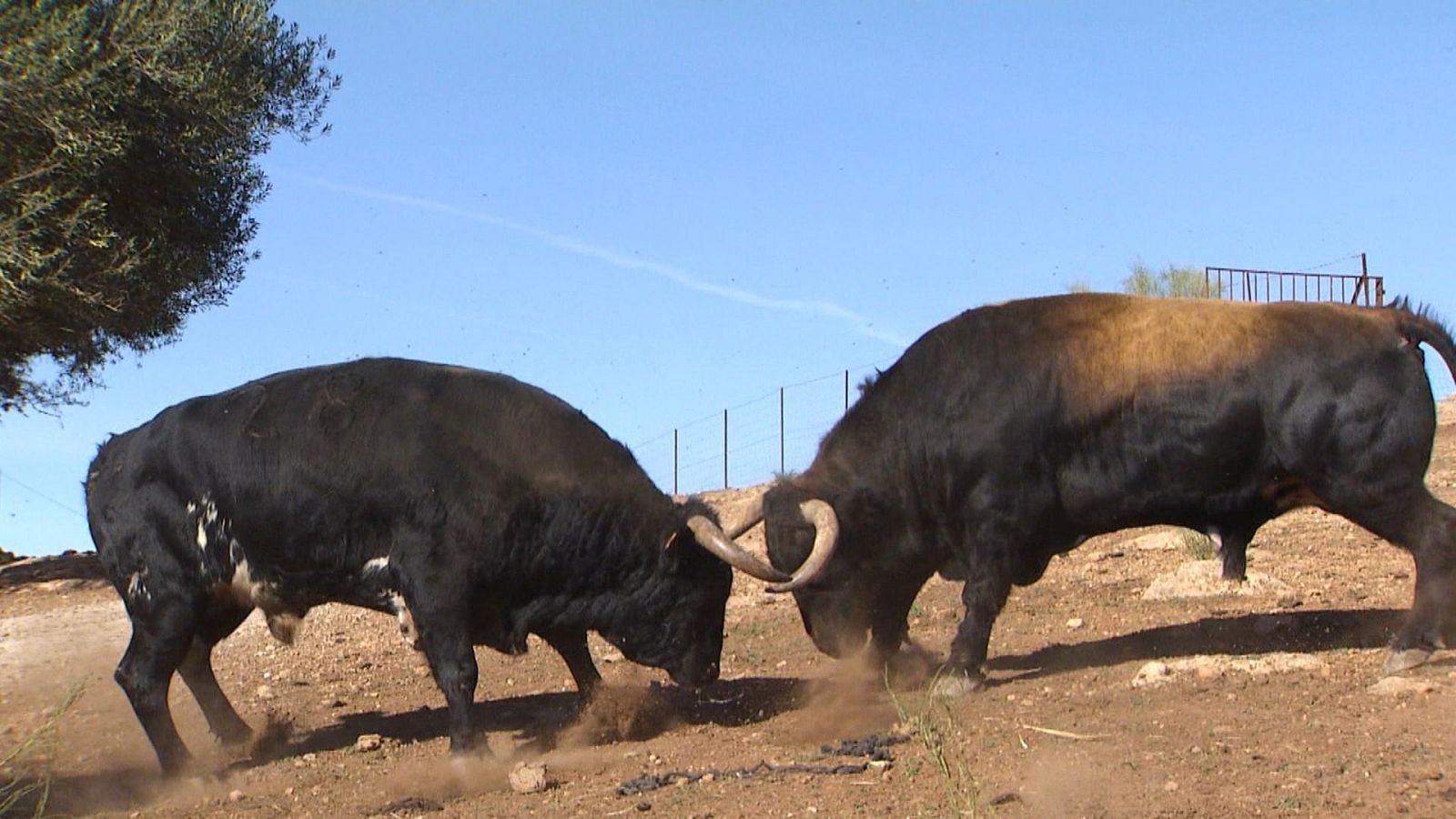 Tendido cero - 09/12/23 - ver ahora