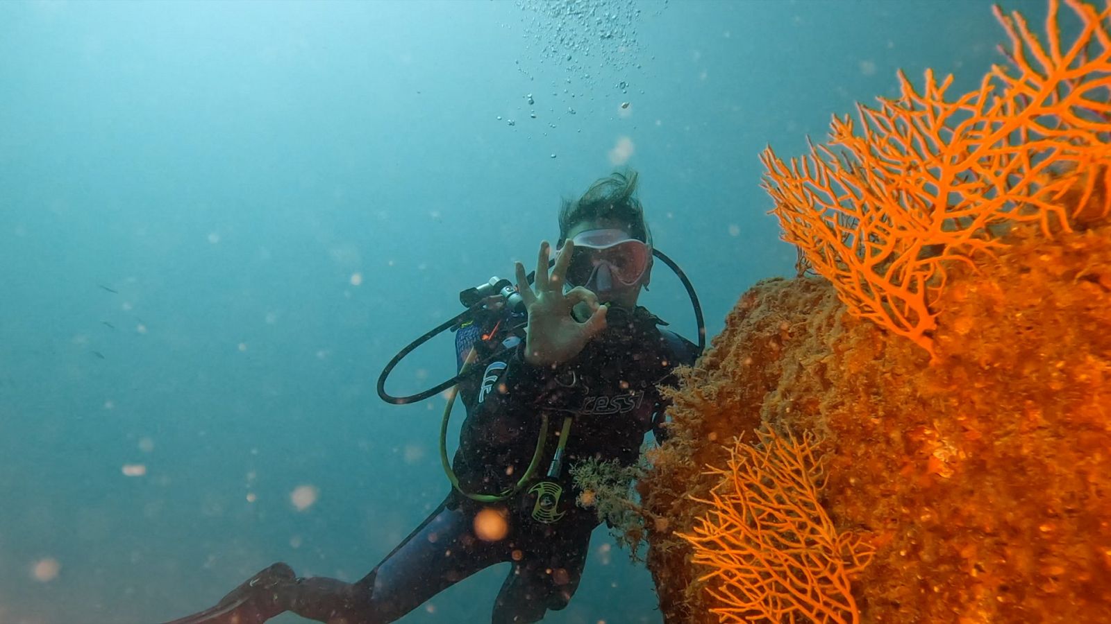 Reduce tu huella - Salvando mares - ver ahora