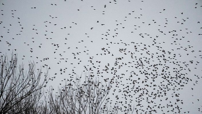 El tiempo - Suben las temperaturas de forma generalizada en todo el país