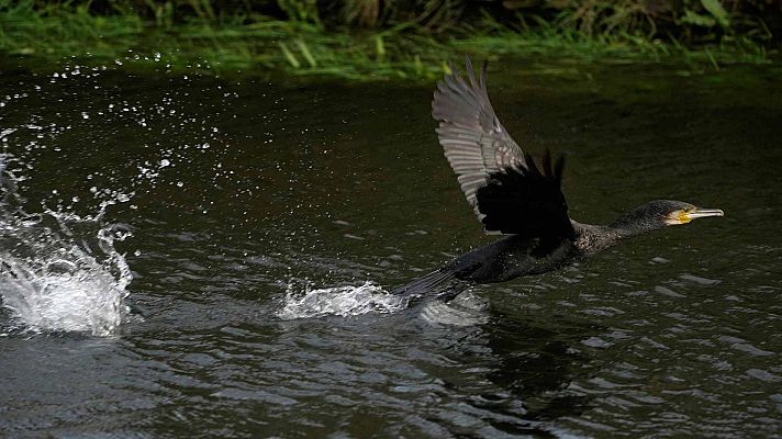 El tiempo - Las temperaturas suben de forma generalizada