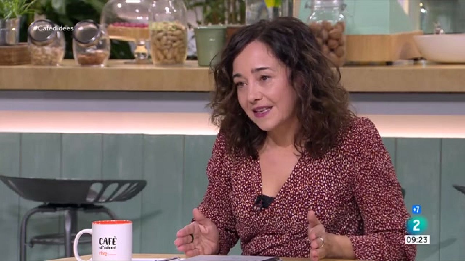 Mònica Nadal: "Simó va fer una assumpció de responsabilitats una mica feble"