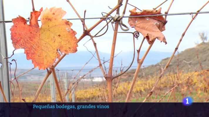 Informativo Telerioja - Informativo Telerioja - 12-12-2023