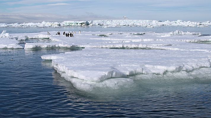 El antártico salvaje - Estaciones