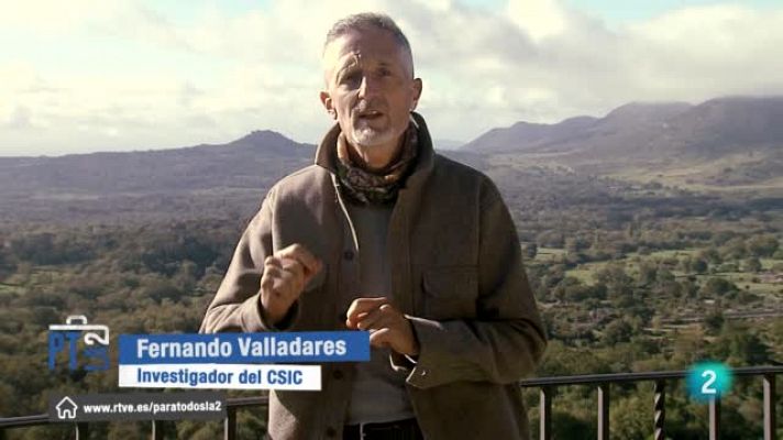 Sección de medio ambiente con Fernando Valladares