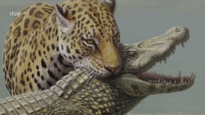 La aventura del Saber - Exposición Mauricio Antón. Arte y paleontología