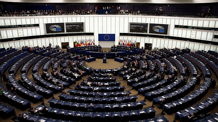 El ladrido de un perro causa risas entre los eurodiputados en Estrasburgo