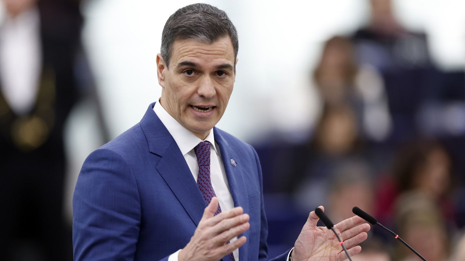 Diario 24 - 13/12/23 - ver ahora