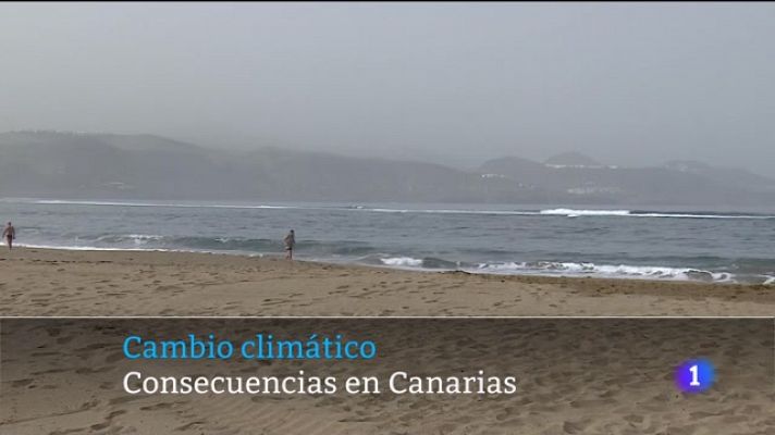 Telecanarias - Telecanarias - 13/12/2023