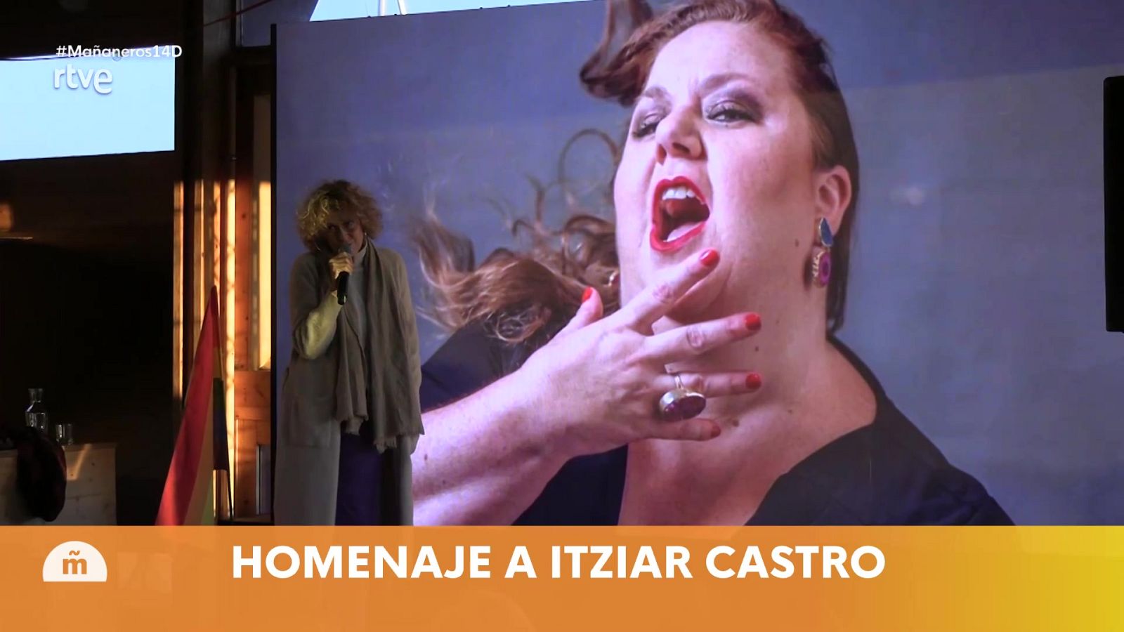 Mañaneros - Programa 67 - ver ahora