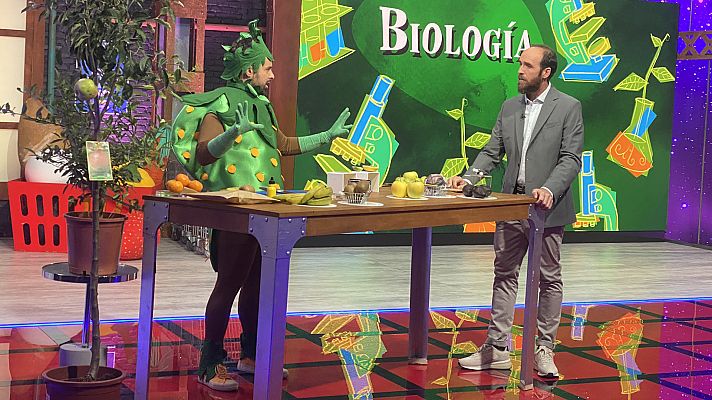 Biología con Ricardo Moure - La maduración de la fruta