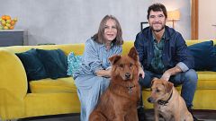 Un día de perros - Programa 5: Antonia San Juan y Alfonso Bassave