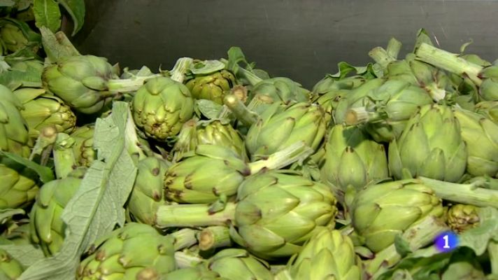 L'informatiu - Comunitat Valenciana - L'Informatiu Comunitat Valenciana 2 - 15/12/23