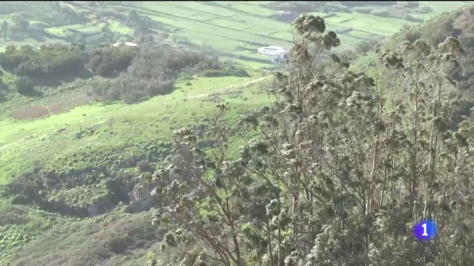 Canarias en 2' - 17/12/2023