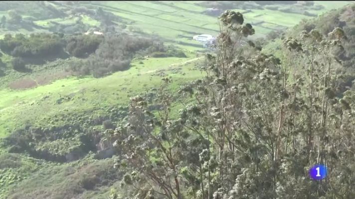 Telecanarias - Canarias en 2' - 17/12/2023