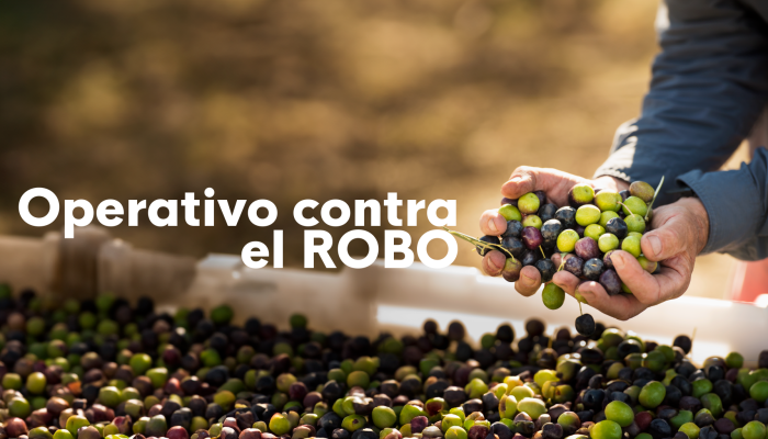 Noticias Andalucía - Dispositivo para el robo de aceitunas