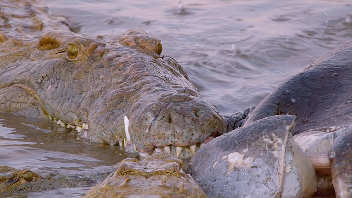 El valle indómito - El gran meandro