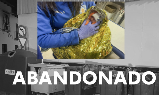 Noticias Andalucía - Encuentran un bebé en un contenedor