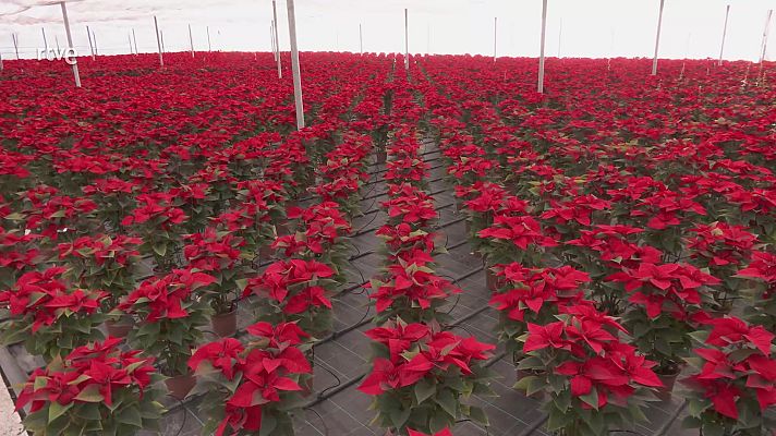 Aquí la Tierra - Aquí la Tierra - 19/12/23