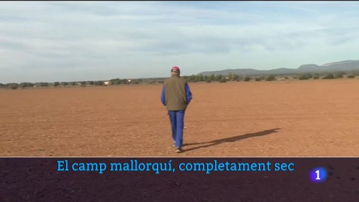 Informatiu Balear - Informatiu Balear 1 - 20/12/23