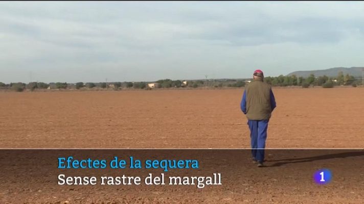 Informatiu Balear - Informatiu Balear en 2' - 20/12/23