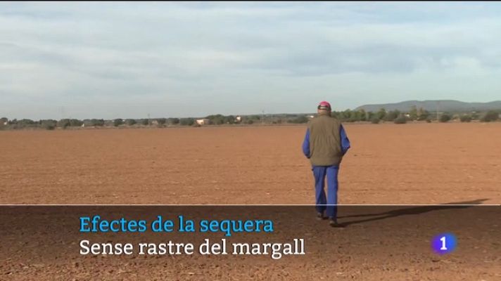 Informatiu Balear - Informatiu Balear 2 - 20/12/23