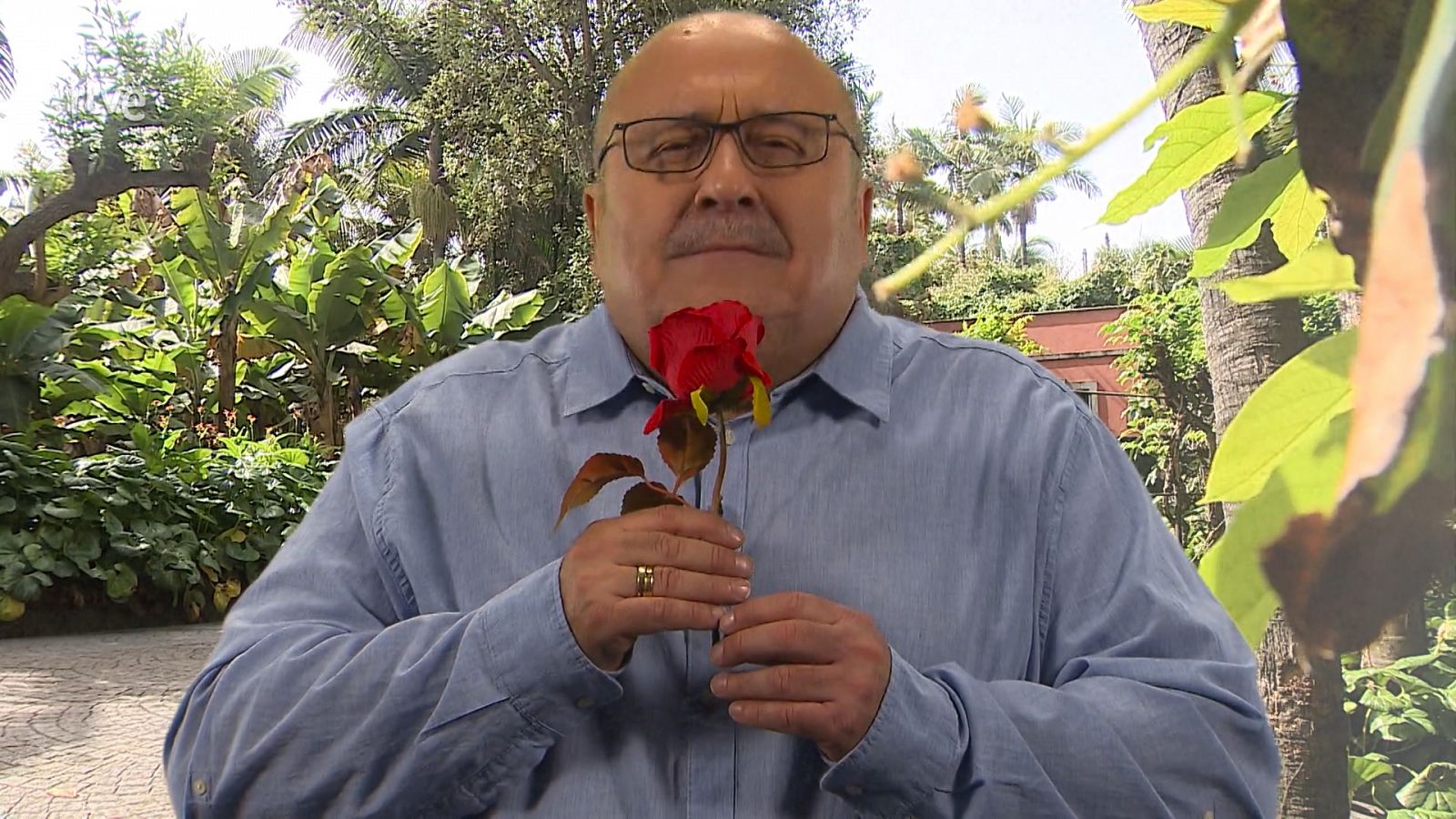 Calidoscopi - Els sentits - Veure ara