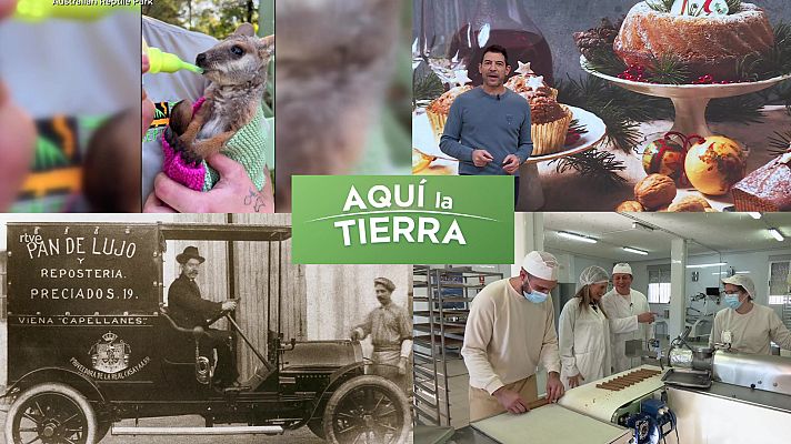 Aquí la Tierra - Aquí la Tierra - 21/12/23