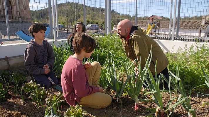 Mi cole es rural - Adersa, Huelva