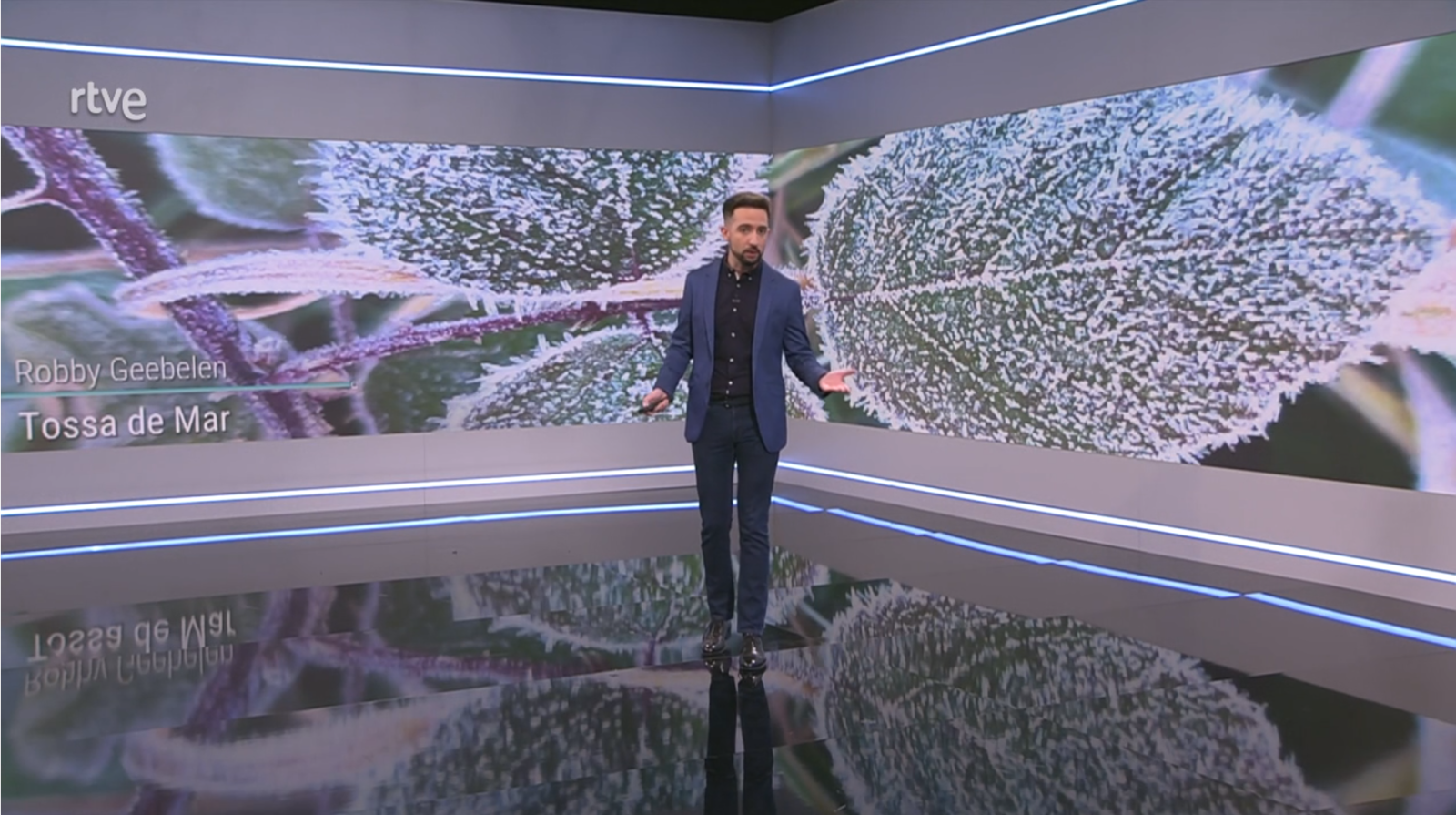 El Temps a Catalunya (26/12/2023) | RTVE Catalunya | Veure