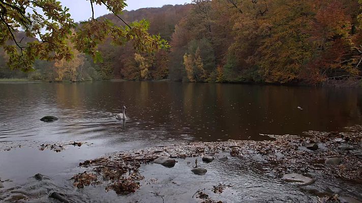 Turismo rural en el mundo - Suecia: la huella de los gigantes