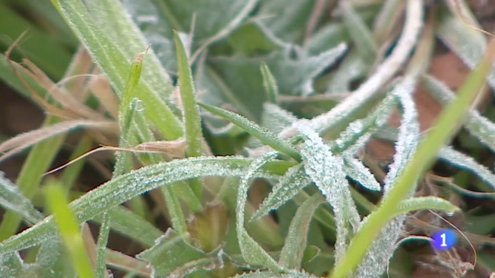 El tiempo en Asturias - 27/12/23 - RTVE.es