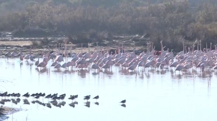 L'informatiu - Comunitat Valenciana - L'Informatiu de la Comunitat Valenciana 2 - 27/12/23