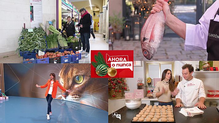 Ahora o nunca - Programa 236