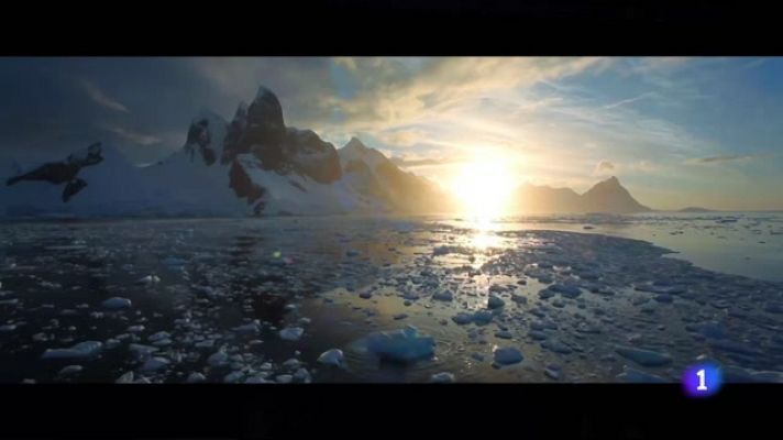 Telediario 1 - Llega 'Kina y Yuk', una película de animación para conectar de nuevo con la naturaleza