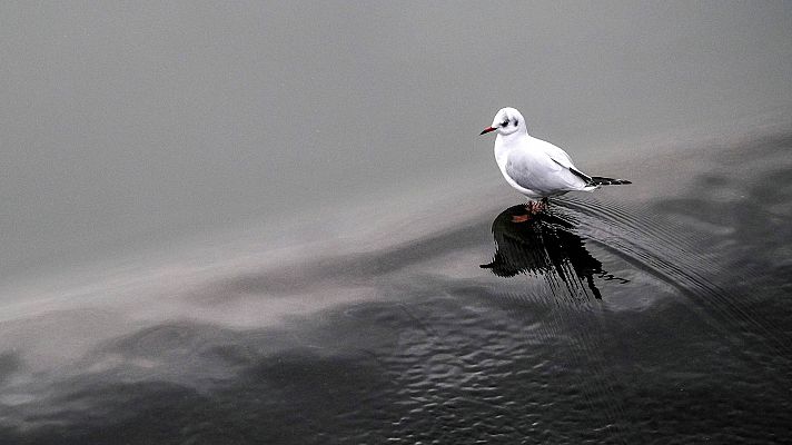 El tiempo - Ligero ascenso de las temperaturas y lluvias en el noroeste