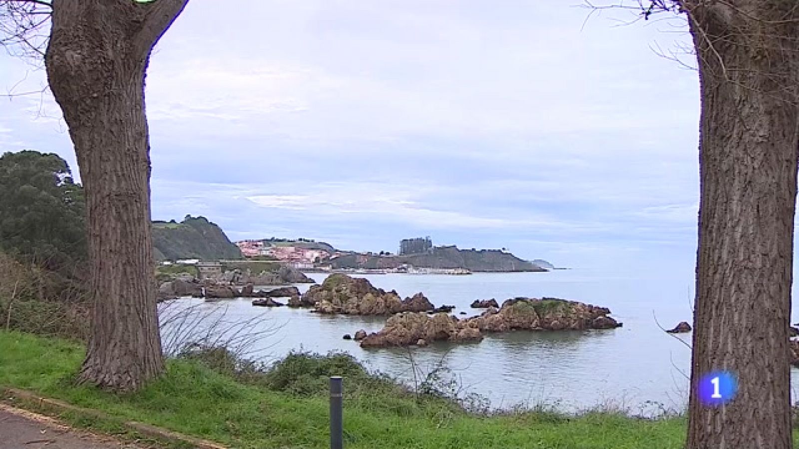 Panorama Regional - 29/12/2023 - Ver ahora